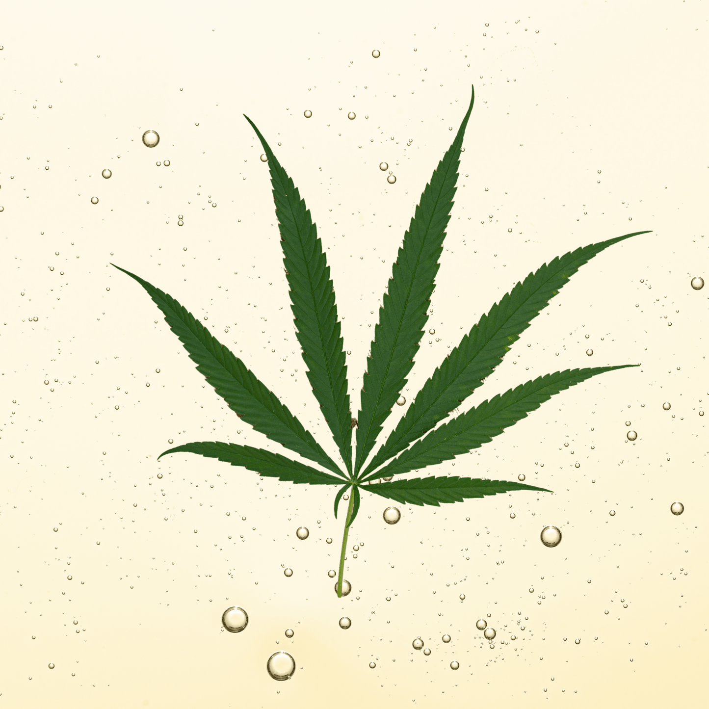 HUILE DE CHANVRE 100% NATURELLE - Laura Sim's