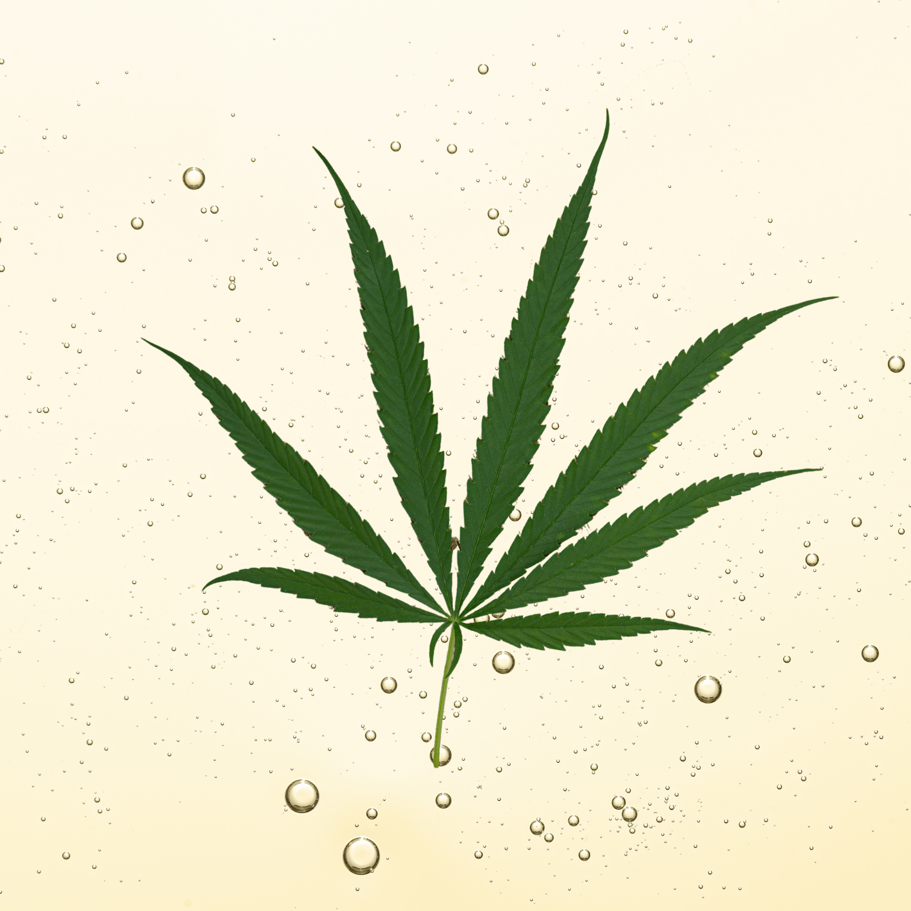 HUILE DE CHANVRE 100% NATURELLE - Laura Sim's